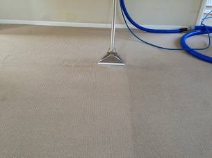 Professional carpet cleaning in Gloucester